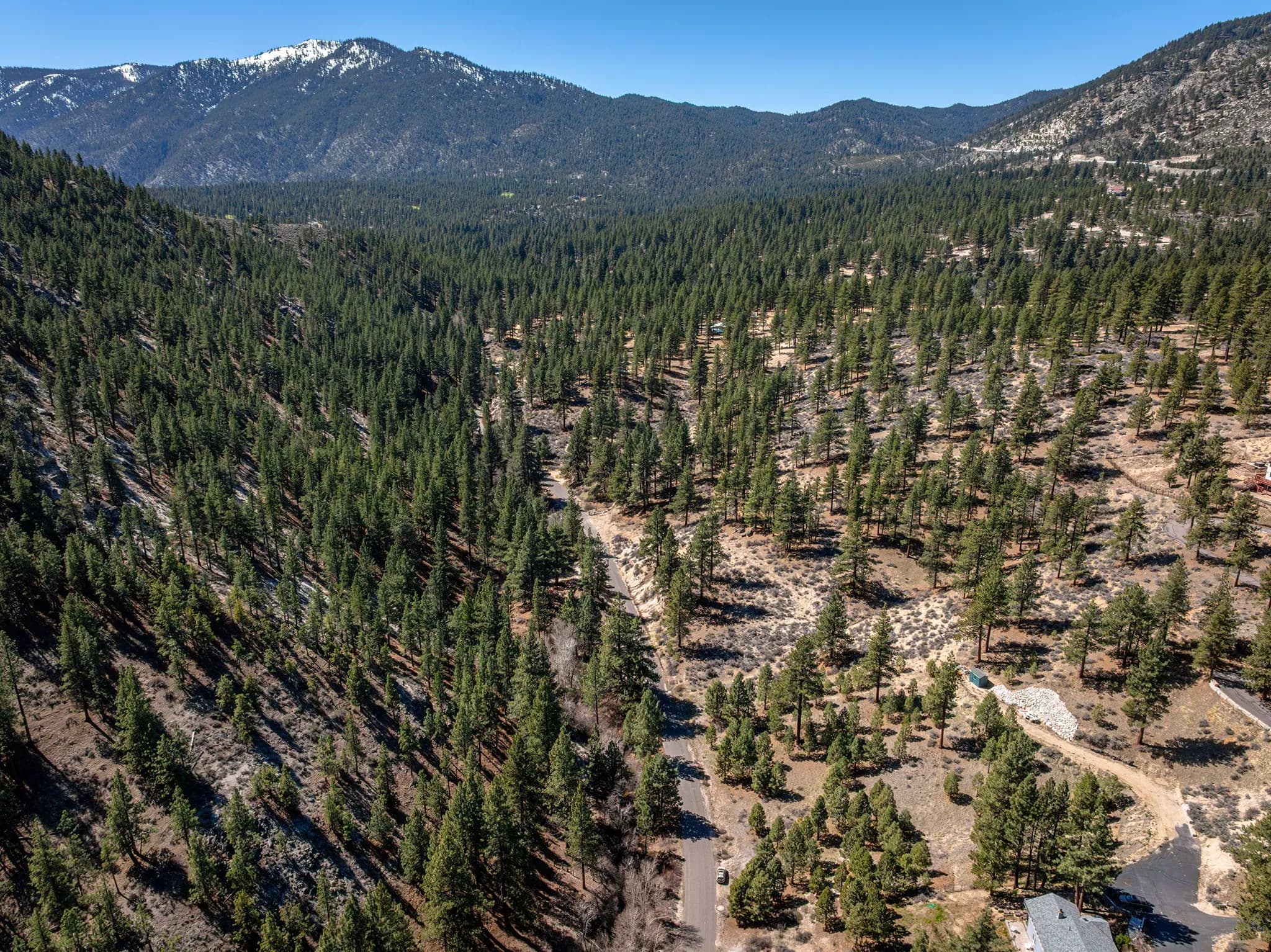 Aerial view across the wooded Old Clear Creek corridor toward the Sierra Nevada